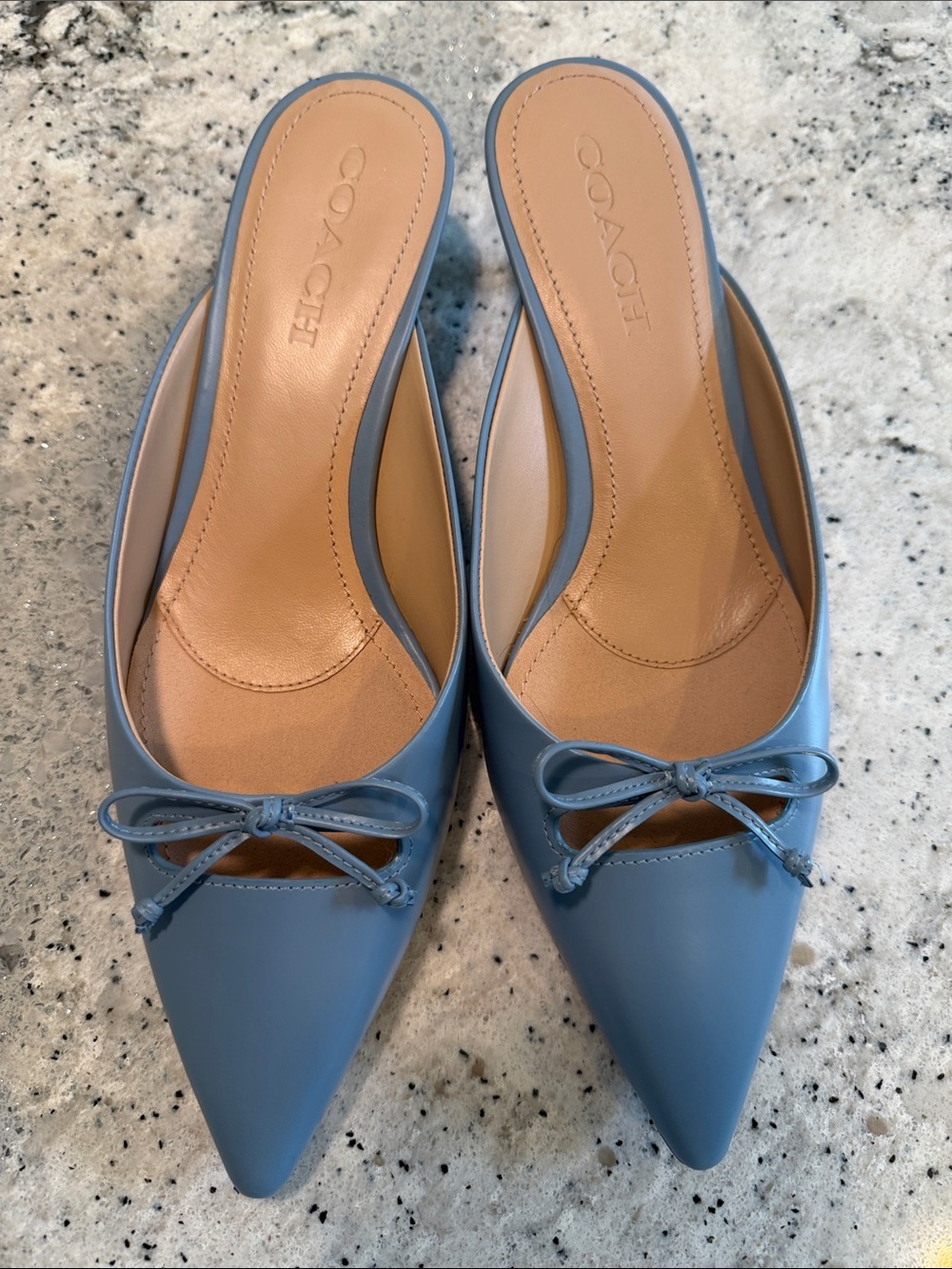 Coach Blue Leather Pointed Toe Bow Slide Mules